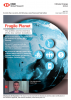 HSBC Global Research 2019 - Fragile Planet
