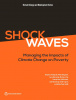 Shock Waves. Managing the Impacts of Climate Change on Poverty. World Bank Report 2016.