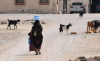 woman, bottled water, desert