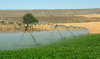 irrigation, water, agriculture, arid, South Africa