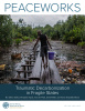 Traumatic decarbonization in fragile states - peaceworks