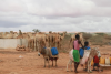 Galmudug state, Somalia, Africa, children, cattle, Weathering Risk Peace Pillar