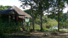brazil amazon nature forest river latin america